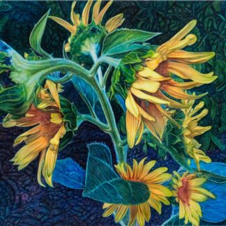 Girasoles